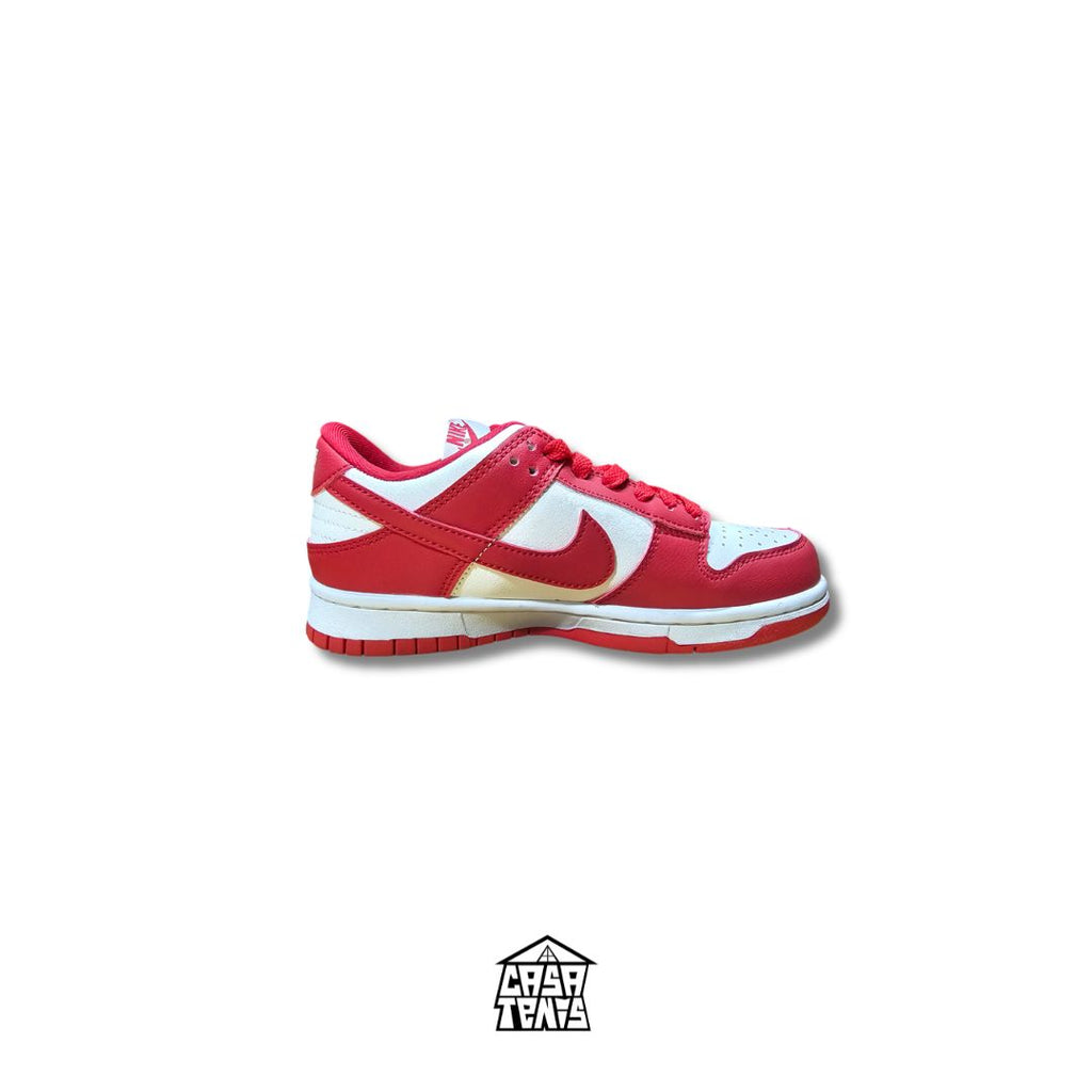 NIKE SB DUNK